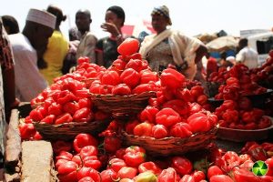 Polokor Warri Markets